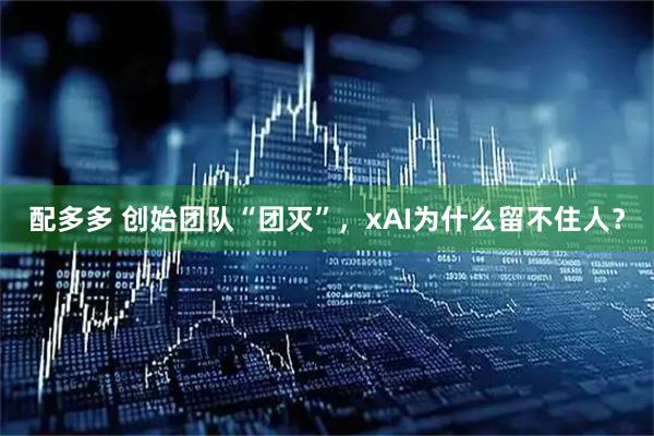 配多多 创始团队“团灭”，xAI为什么留不住人？